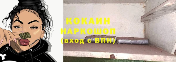 стаф Балахна