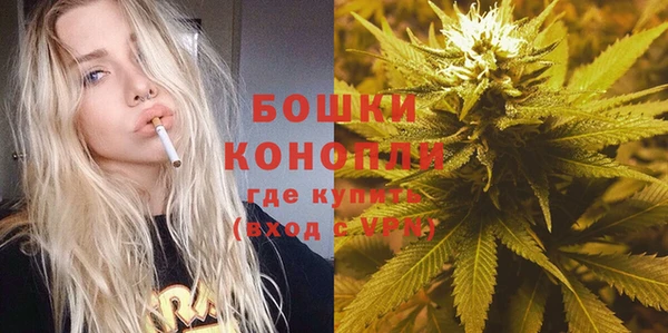 стаф Балахна
