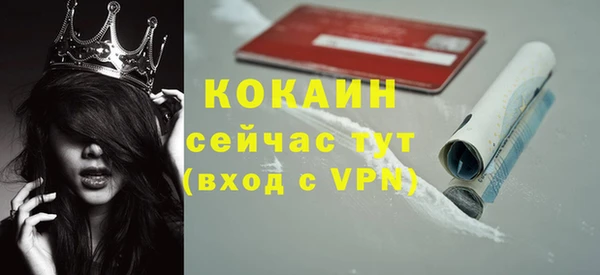 стаф Балахна