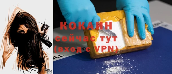 стаф Балахна